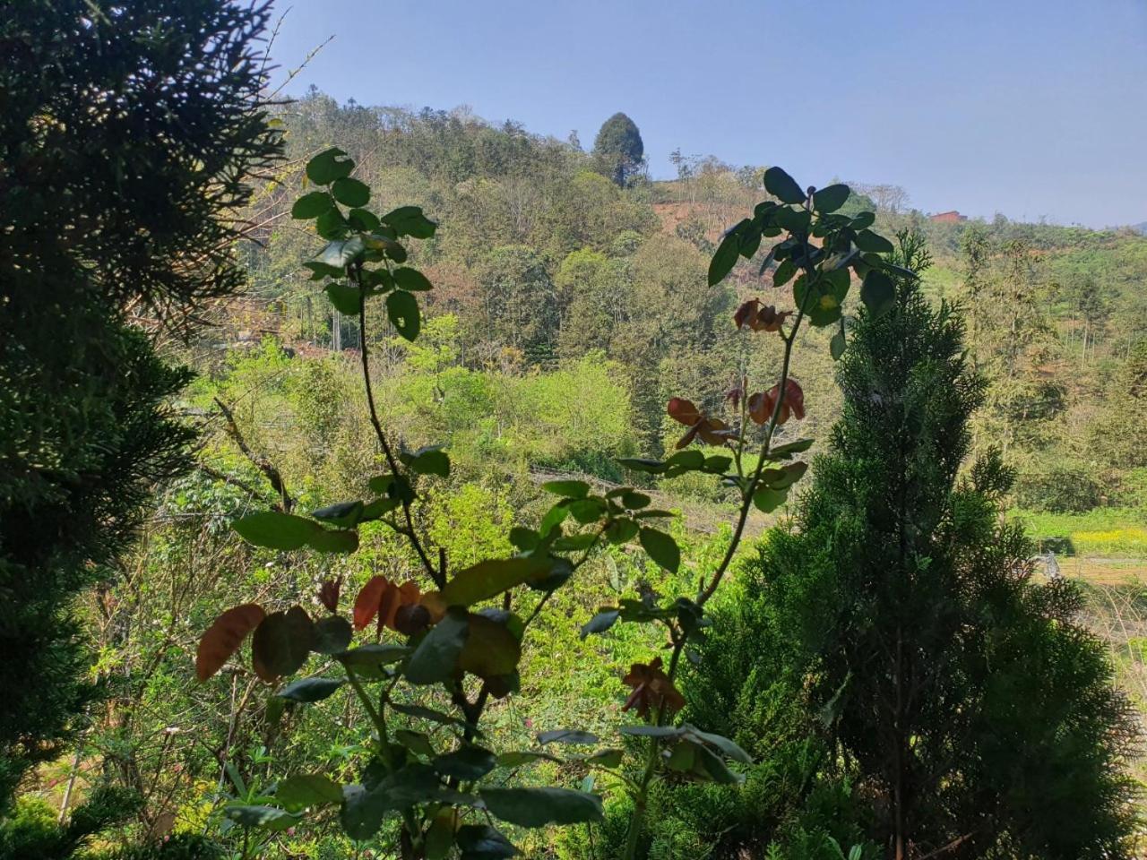 Sapa Garden Bungalow מראה חיצוני תמונה