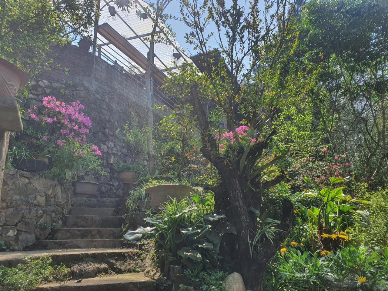 Sapa Garden Bungalow מראה חיצוני תמונה