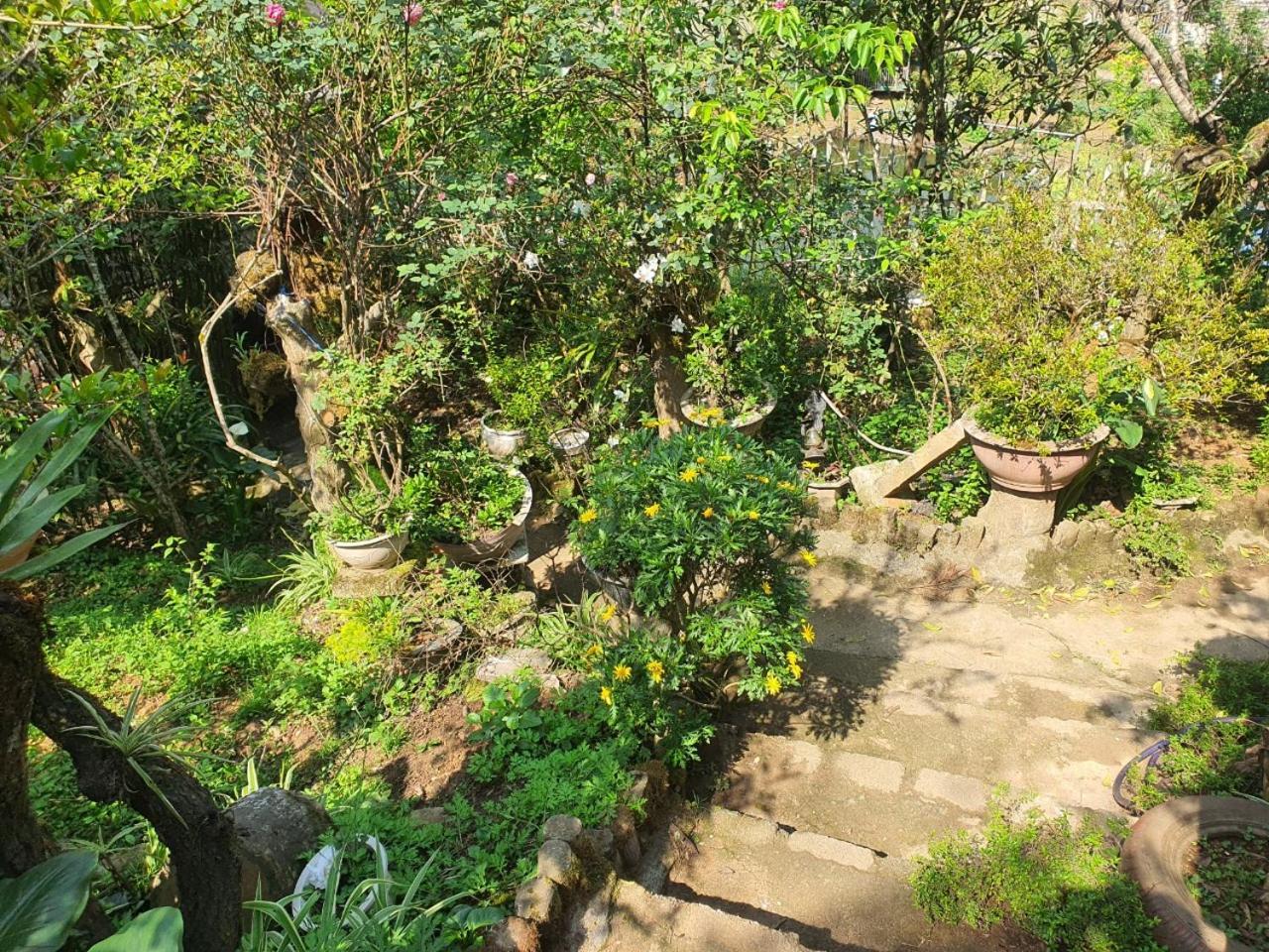 Sapa Garden Bungalow מראה חיצוני תמונה