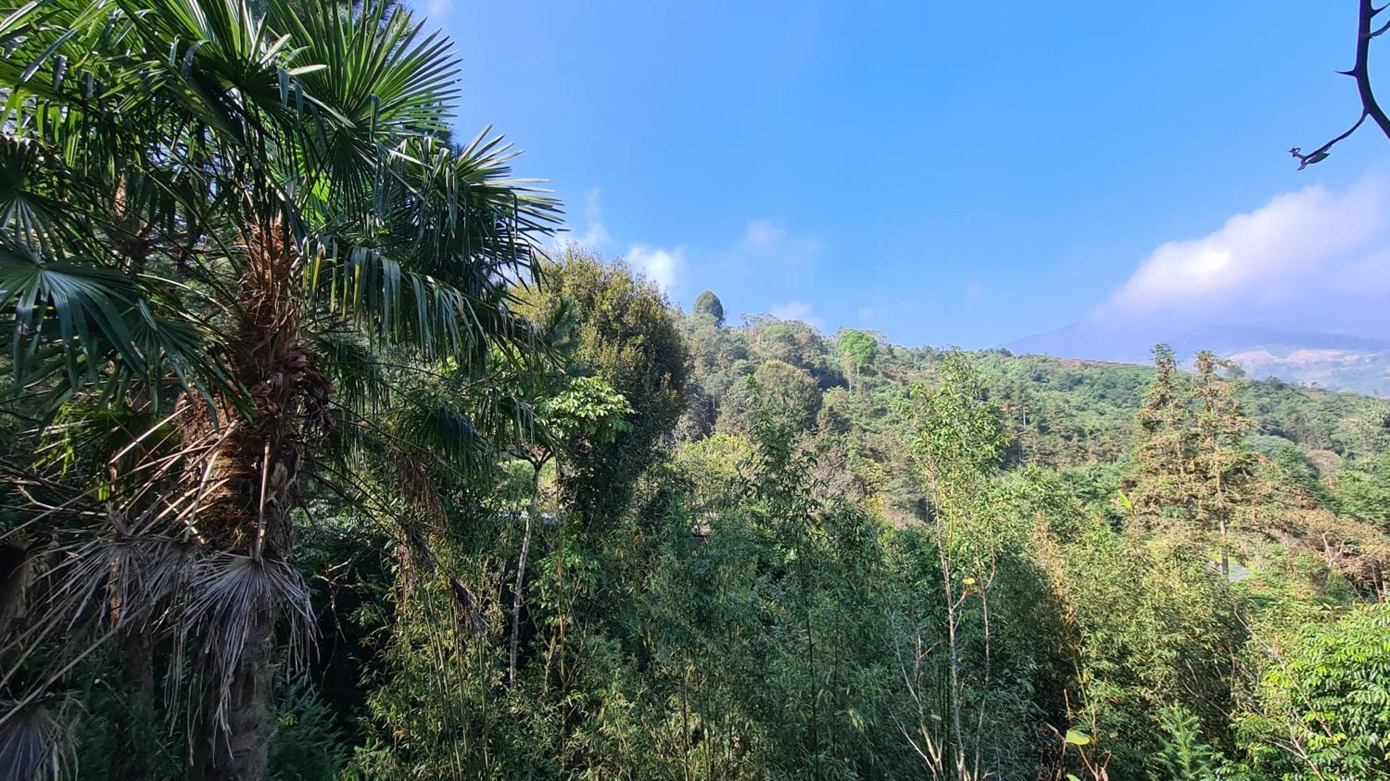 Sapa Garden Bungalow מראה חיצוני תמונה